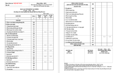 Mẫu Báo cáo tình hình tài chính Thông tư 133 (B01a-DNN)