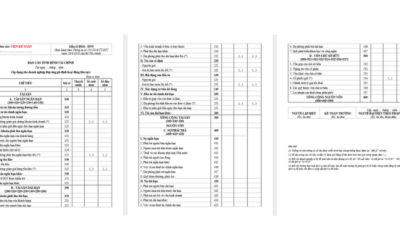 Mẫu Báo cáo tình hình tài chính Thông tư 133 (B01b-DNN)