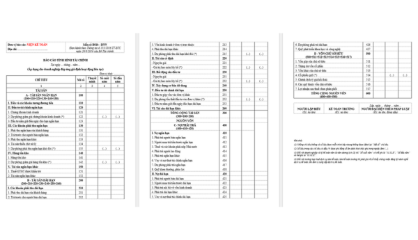 Mẫu Báo cáo tình hình tài chính Thông tư 133 (B01b-DNN)
